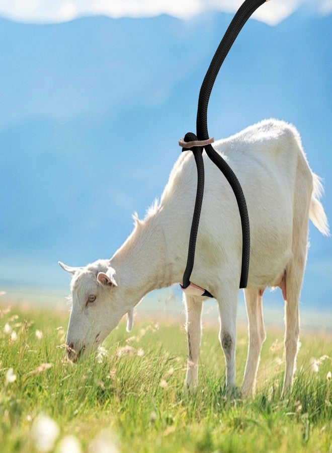 MHLLGN Goat Harness, Goat Supplies, Goat Harness for Walking, Washable Goat Leash, Goat Accessories, Livestock Supplies for Goats, Sheeps - Image 2